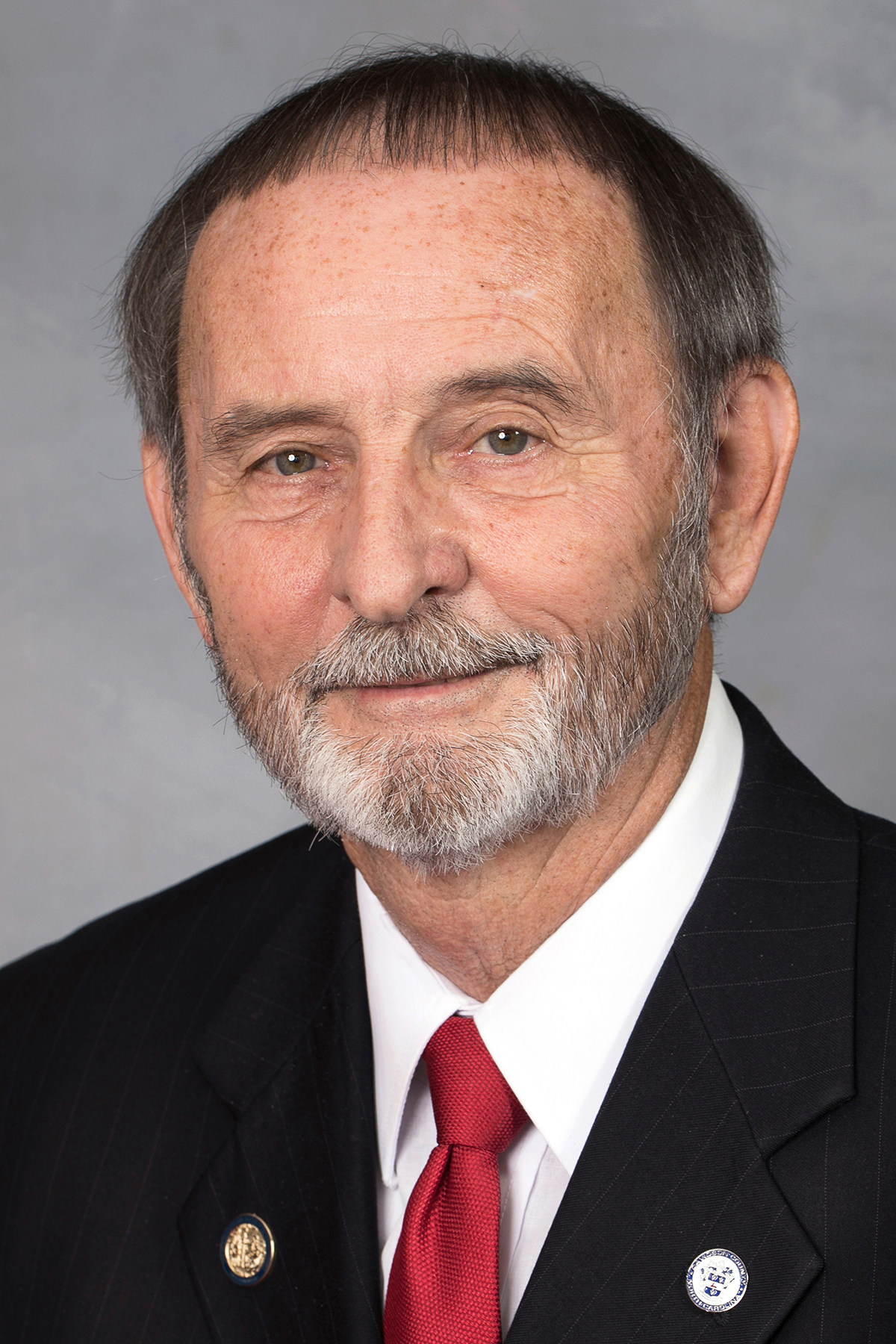 Official portrait of Larry W. Potts